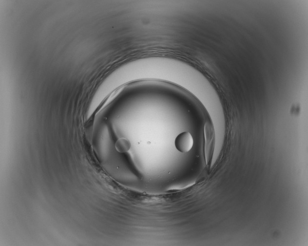 X0000114210125200910231415