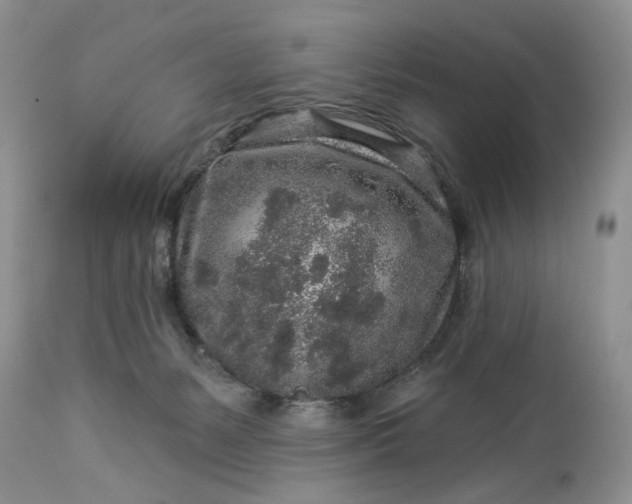 X0000114210127200910231415