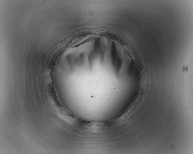 X0000114210128200910231415