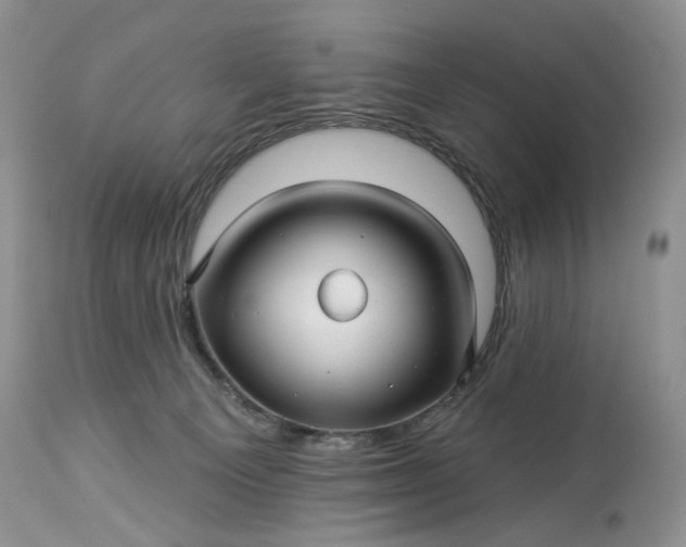 X0000114210129200910231415