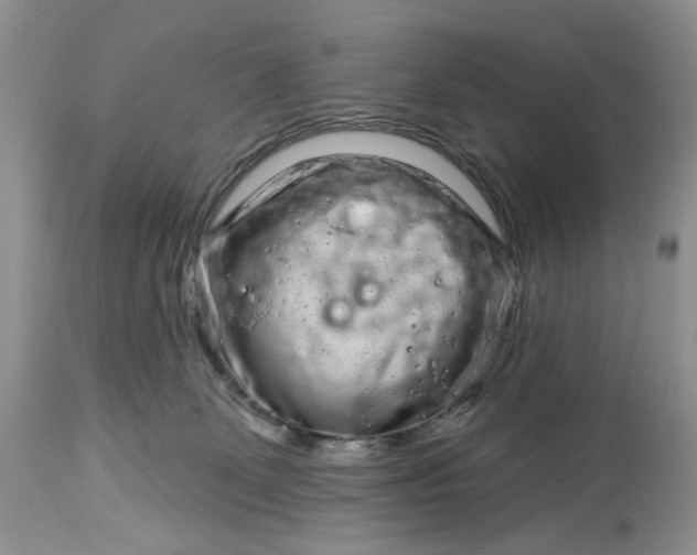 X0000114210131200910231415