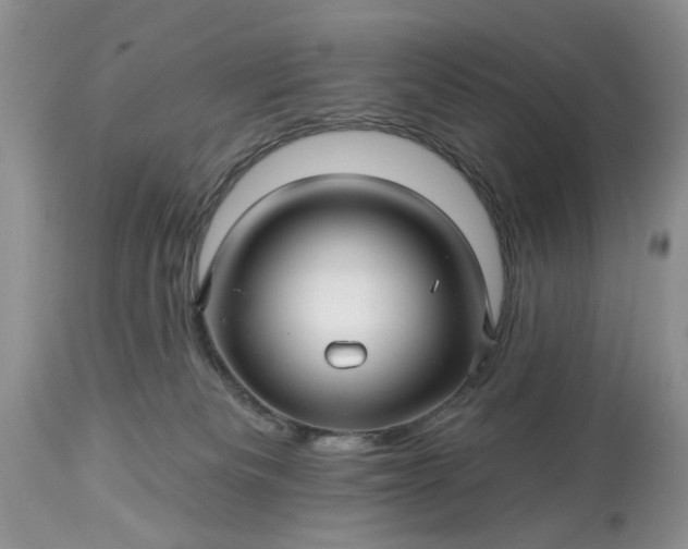 X0000114210133200910231415