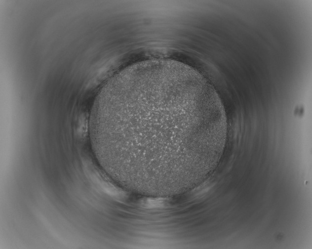 X0000114210134200910231415