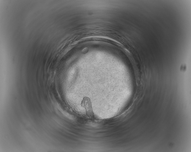 X0000114210136200910231415