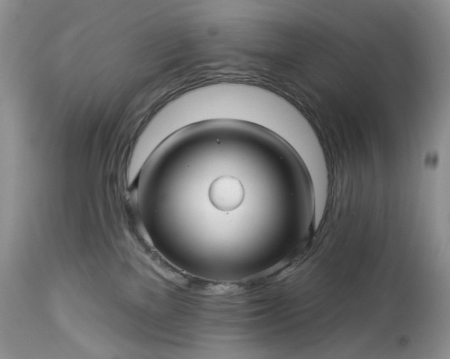 X0000114210137200910231415