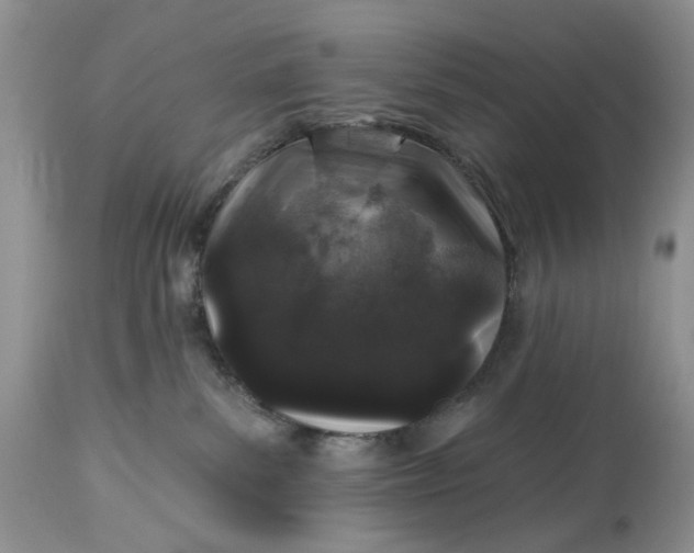 X0000114210139200910231415