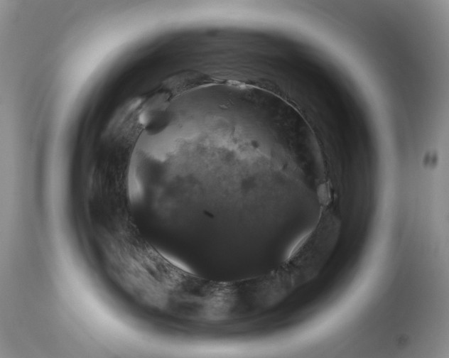 X0000114210143200910231415