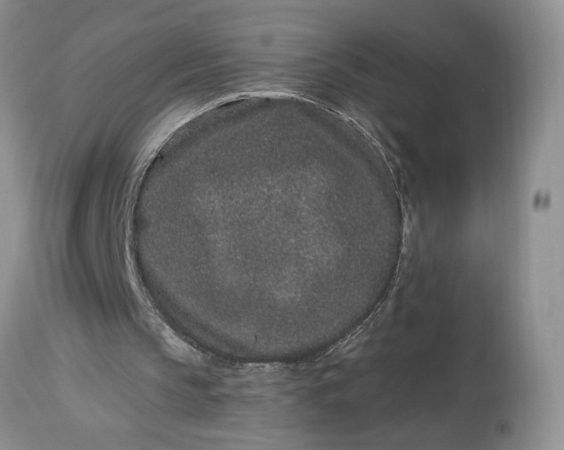 X0000114210145200910231414