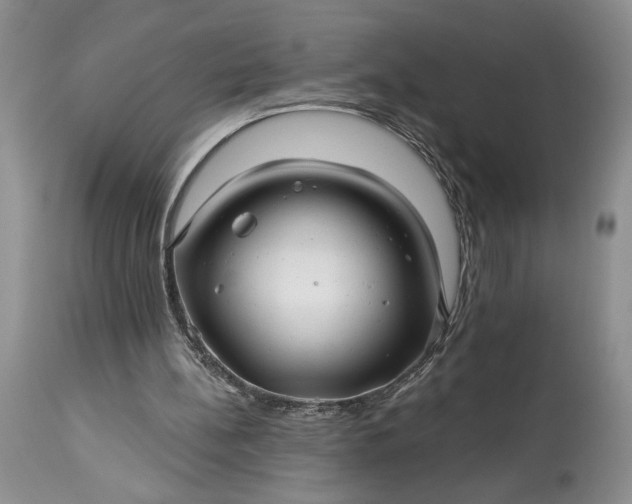 X0000114210148200910231414