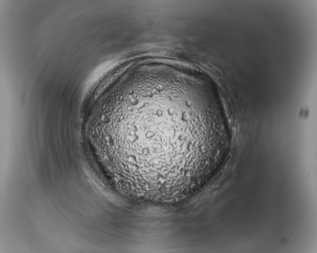 X0000114210149200910231414