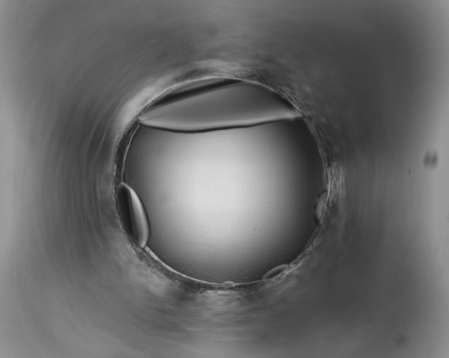 X0000114210150200910231414