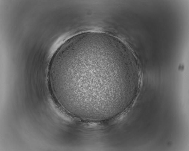 X0000114210151200910231414