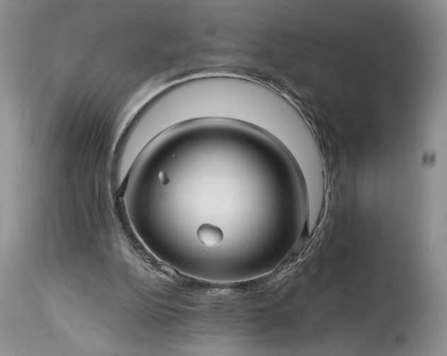 X0000114210152200910231414