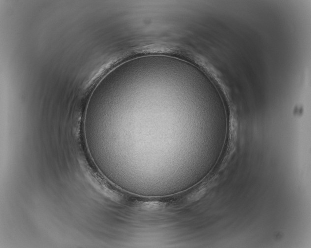 X0000114210153200910231414