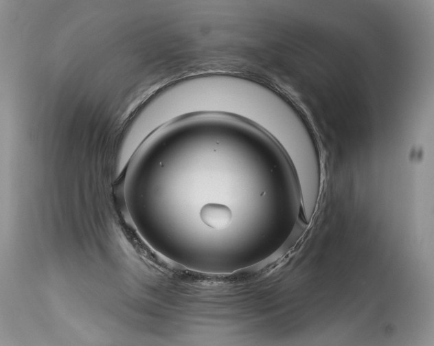 X0000114210154200910231414