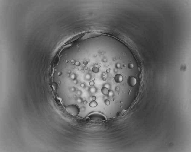 X0000114210155200910231414