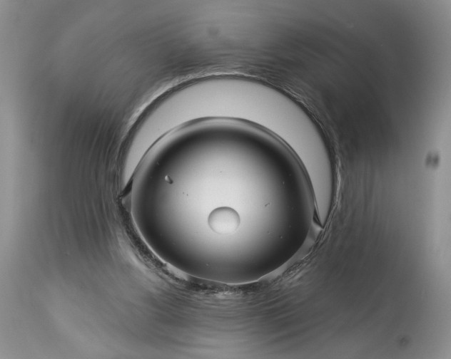 X0000114210156200910231414