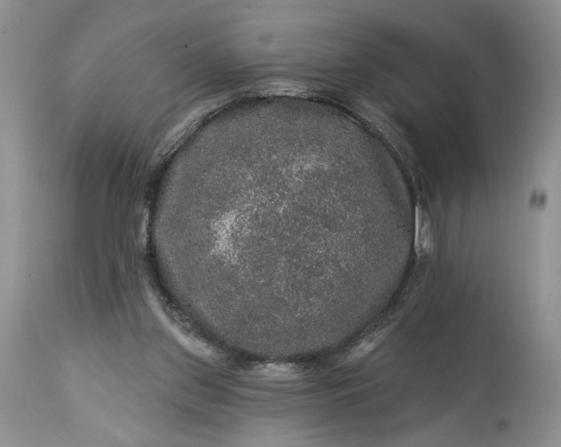 X0000114210157200910231414