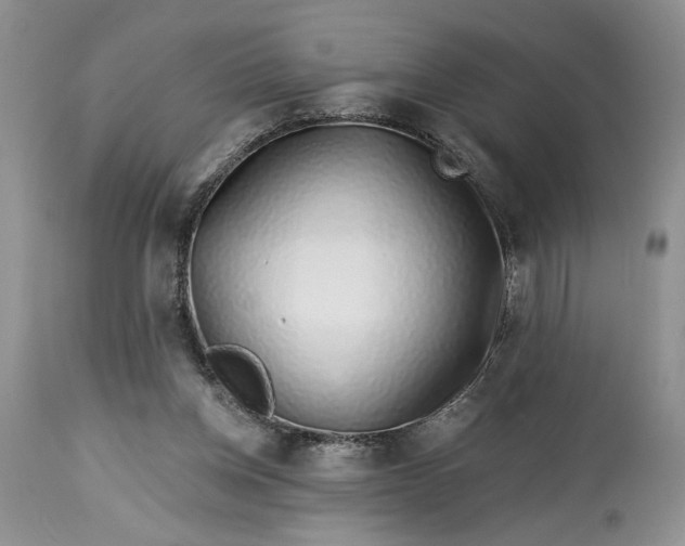 X0000114210158200910231414