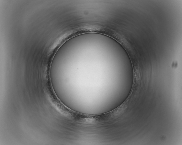 X0000114210159200910231414