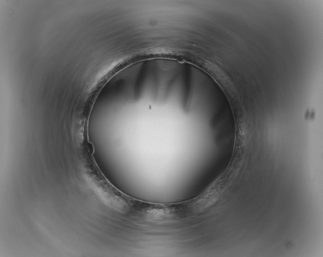 X0000114210160200910231414