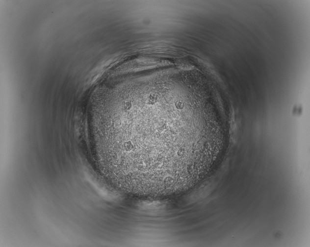 X0000114210161200910231414