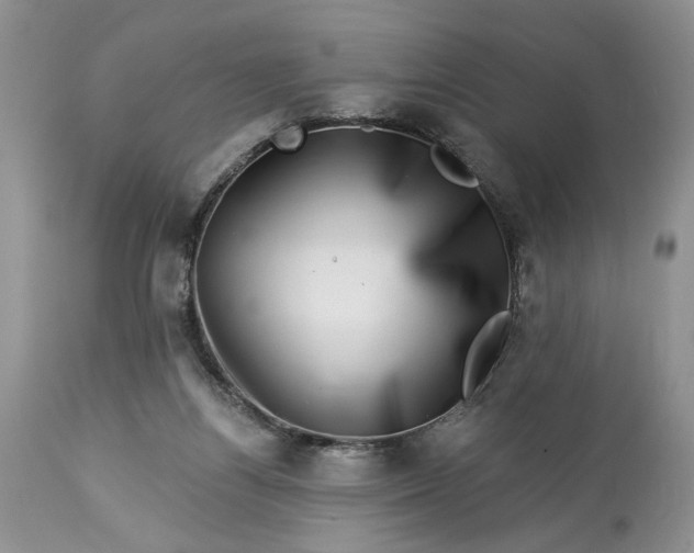 X0000114210164200910231414