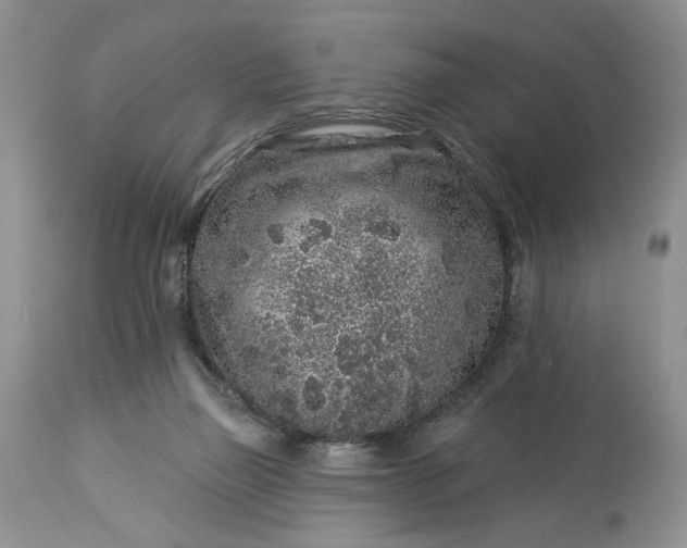 X0000114210165200910231414