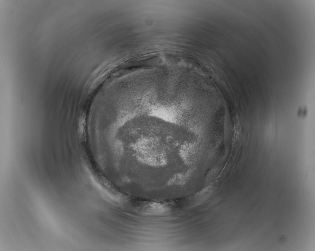 X0000114210166200910231414