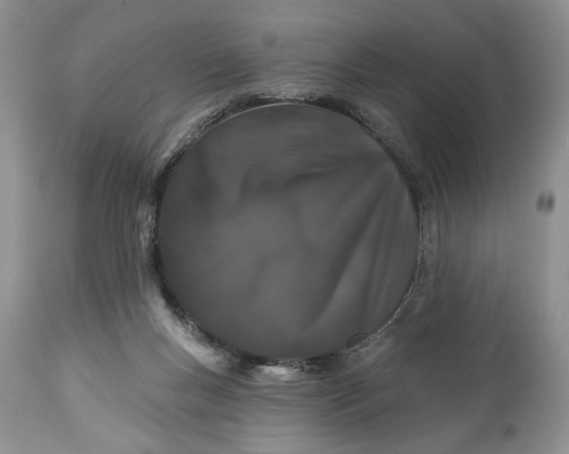 X0000114210167200910231414