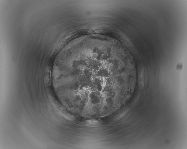 X0000114210169200910231414