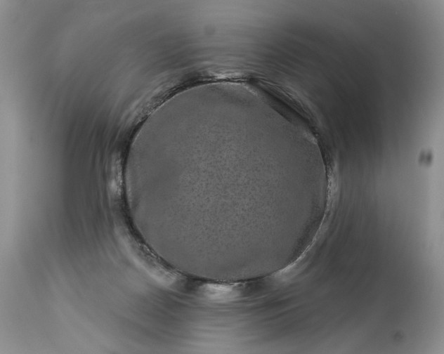 X0000114210170200910231414