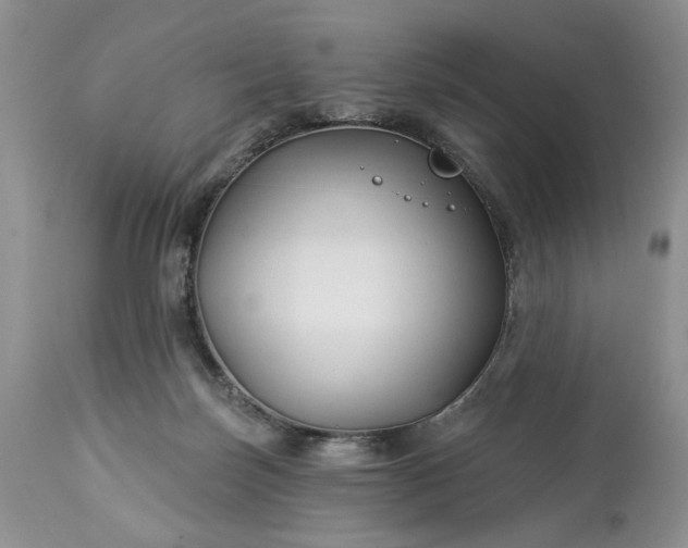 X0000114210171200910231414