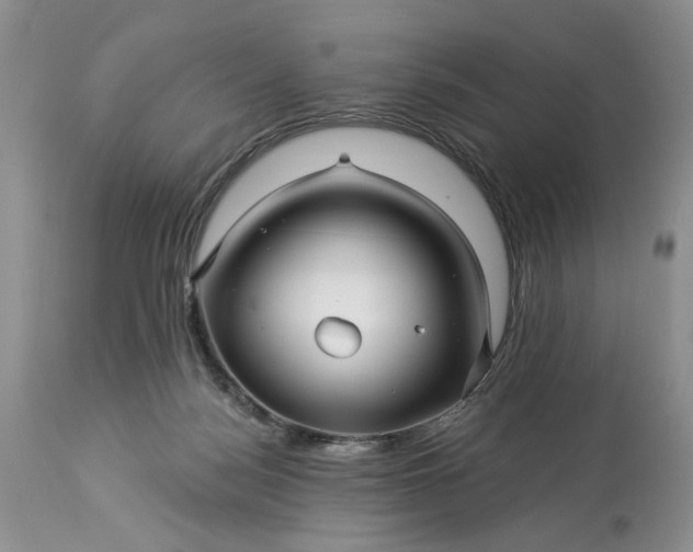 X0000114210172200910231414