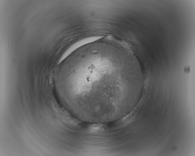 X0000114210175200910231414