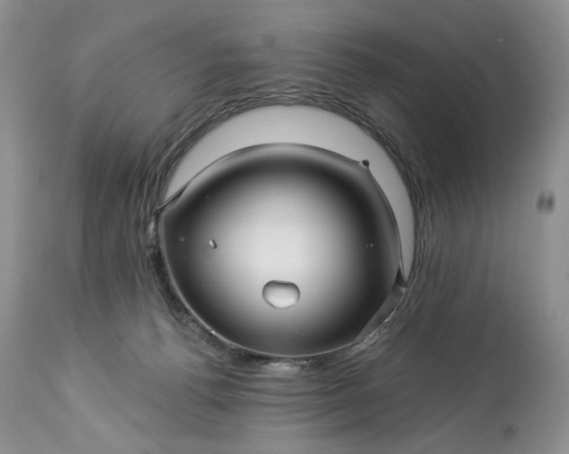 X0000114210176200910231414