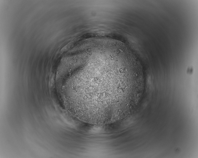 X0000114210177200910231414