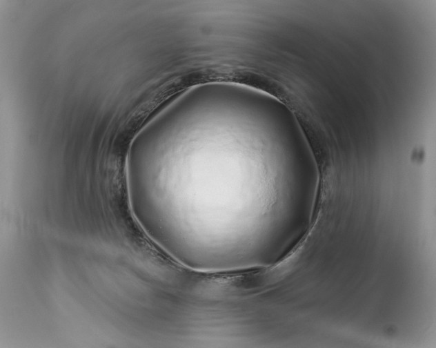 X0000114210178200910231414