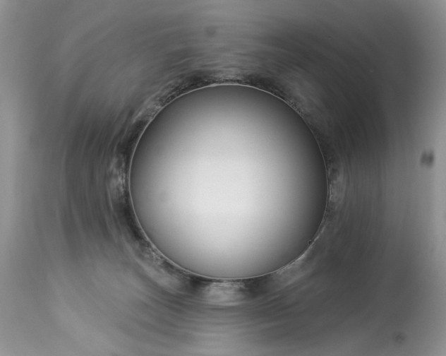 X0000114210179200910231414