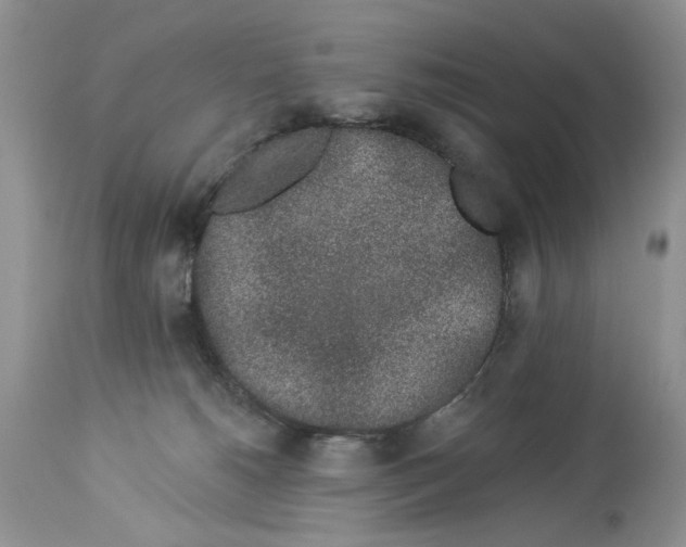 X0000114210180200910231414