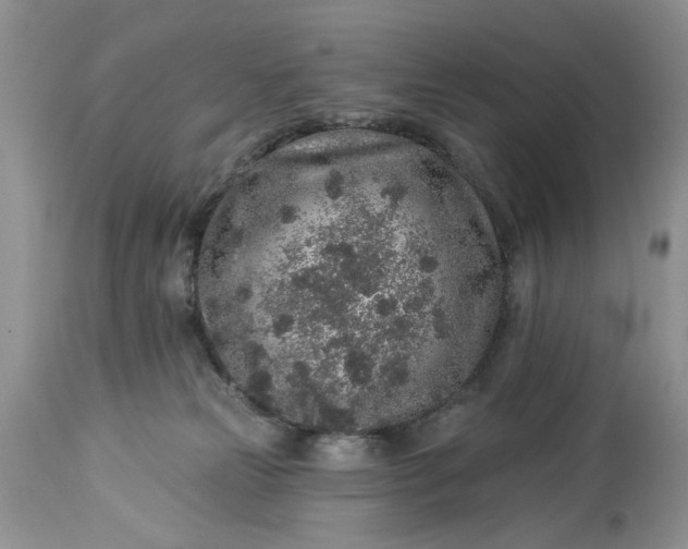 X0000114210181200910231414