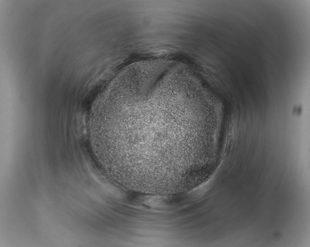 X0000114210182200910231414