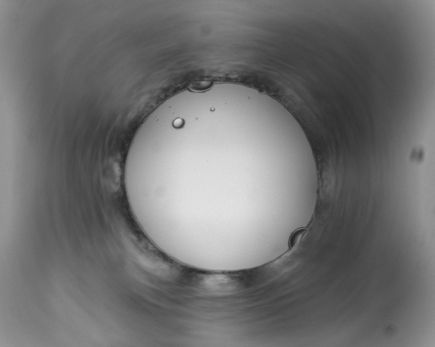 X0000114210183200910231414