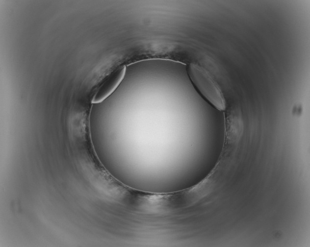 X0000114210184200910231414