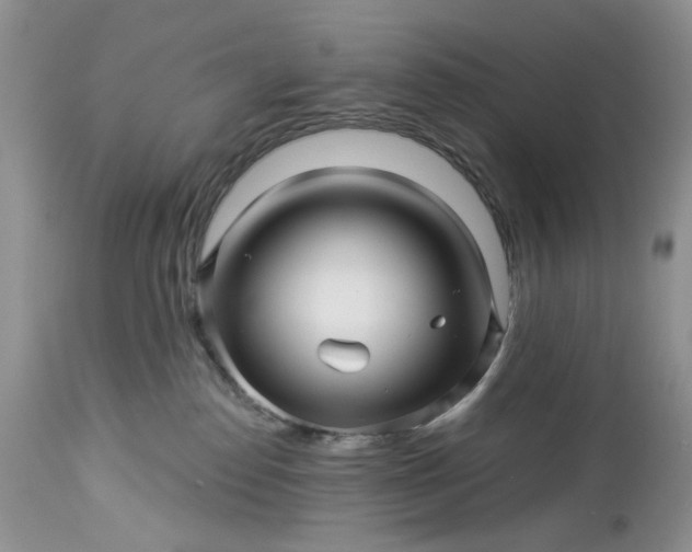 X0000114210186200910231414