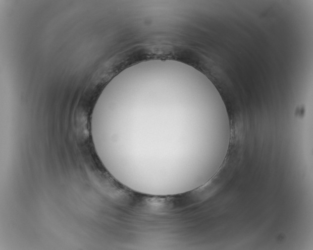 X0000114210187200910231414