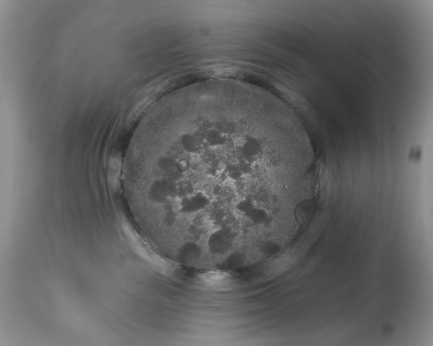 X0000114210189200910231415