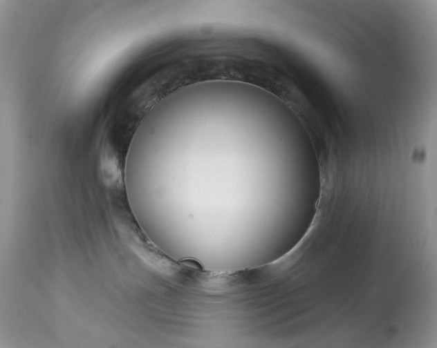 X0000114210191200910231415