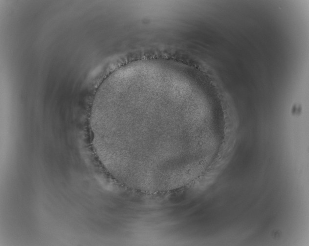 X0000114210192200910231415