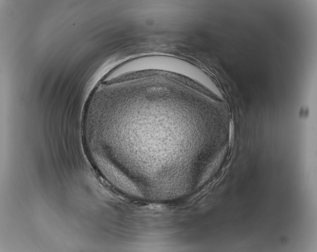 X0000114210195200910231414